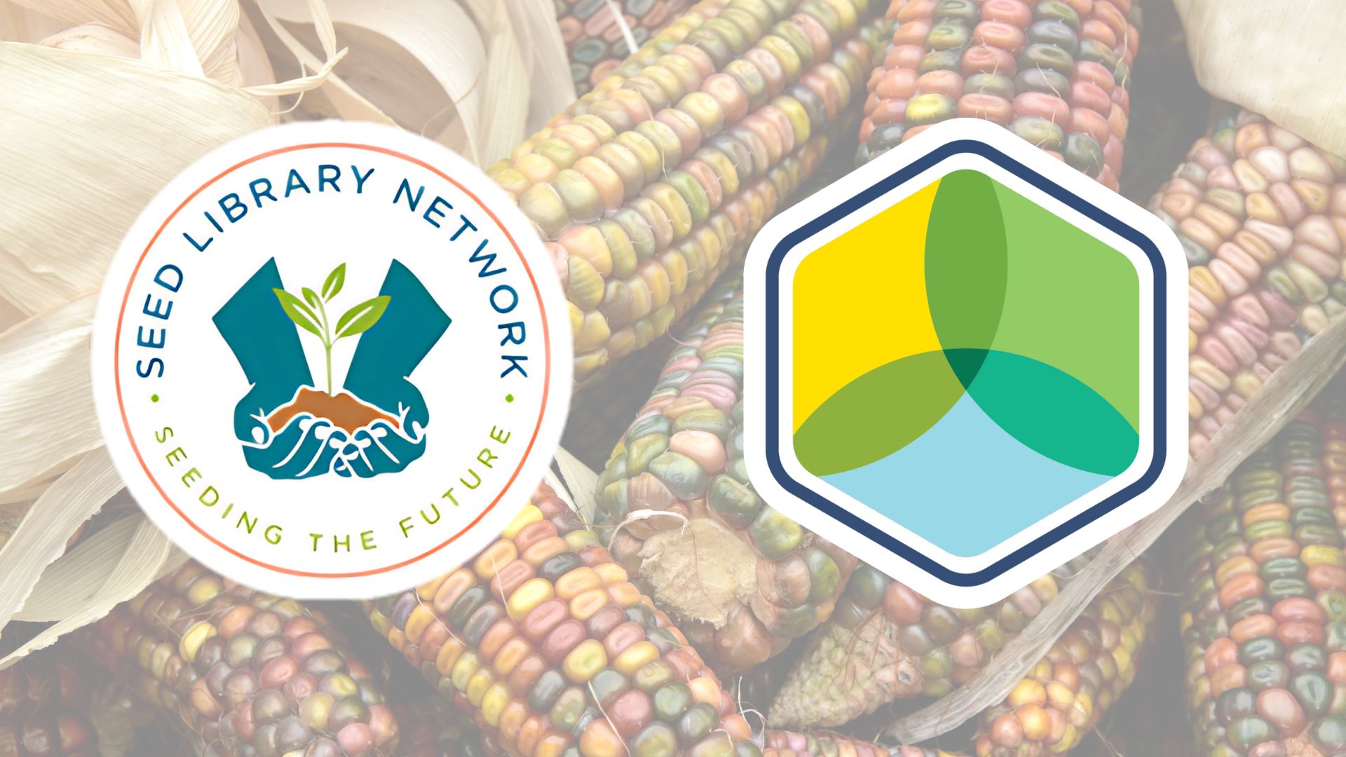 Home Sustainable Libraries Initiative